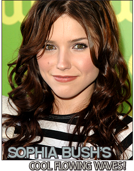 Sophia Bush